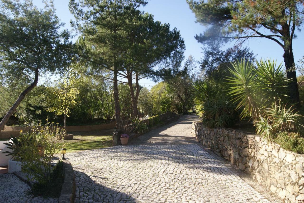 Casa Do Vale Villa Sao Pedro de Tomar Dış mekan fotoğraf