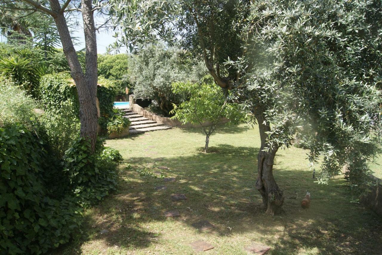 Casa Do Vale Villa Sao Pedro de Tomar Dış mekan fotoğraf